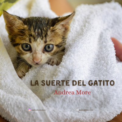 La suerte del gatito